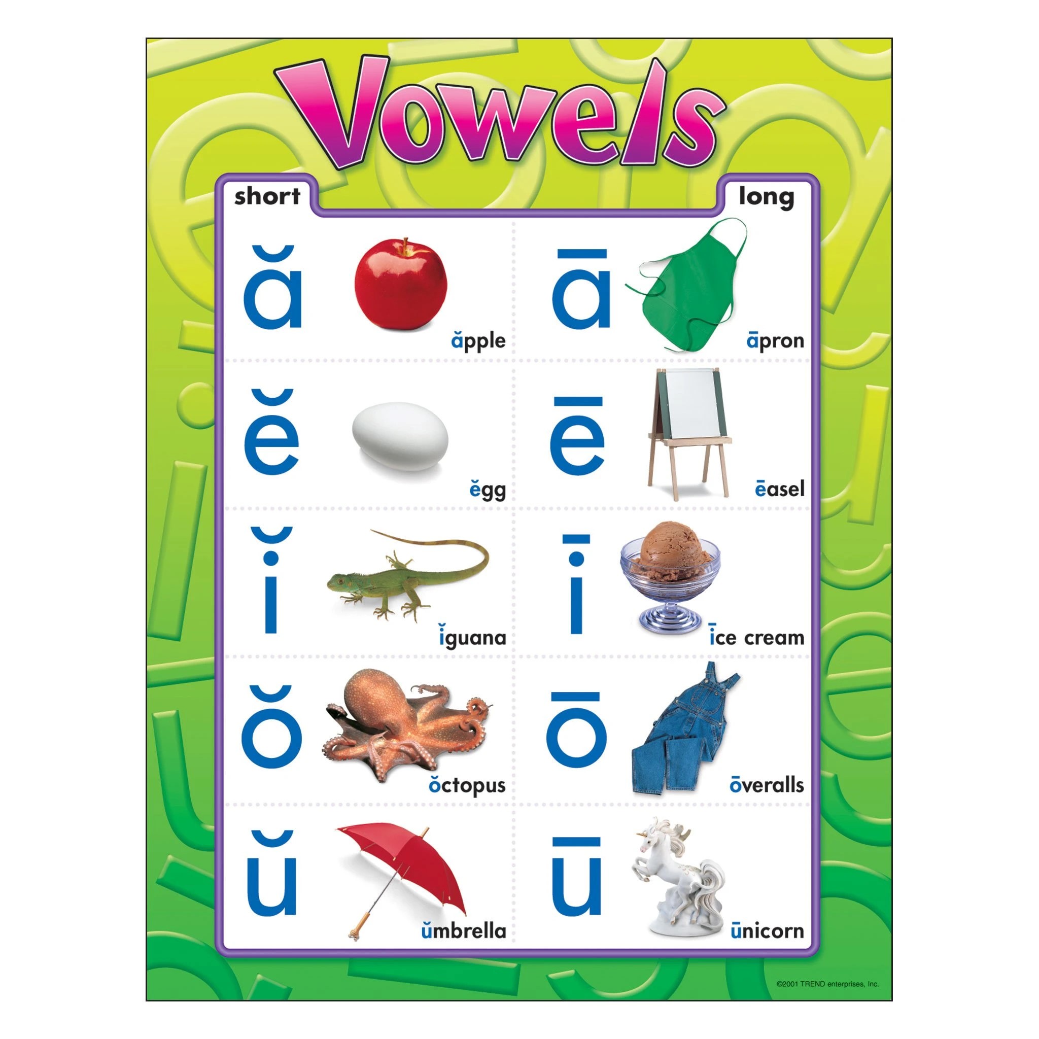 english-chart-t38032-vowels-learning-chart-17