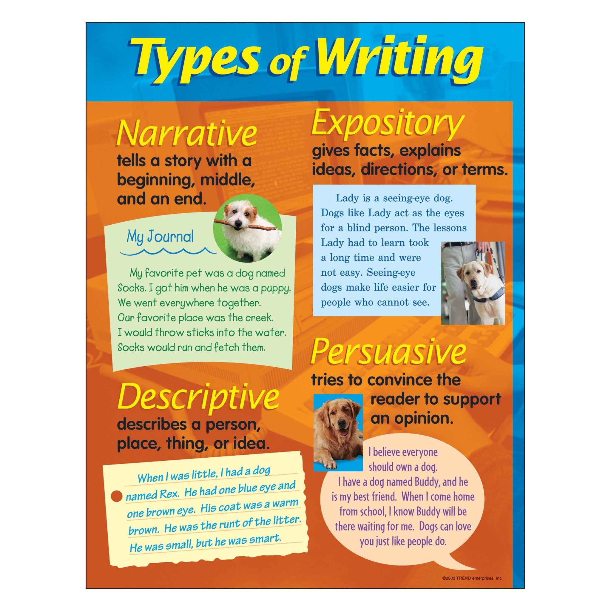 what are the 4 types of writing skills